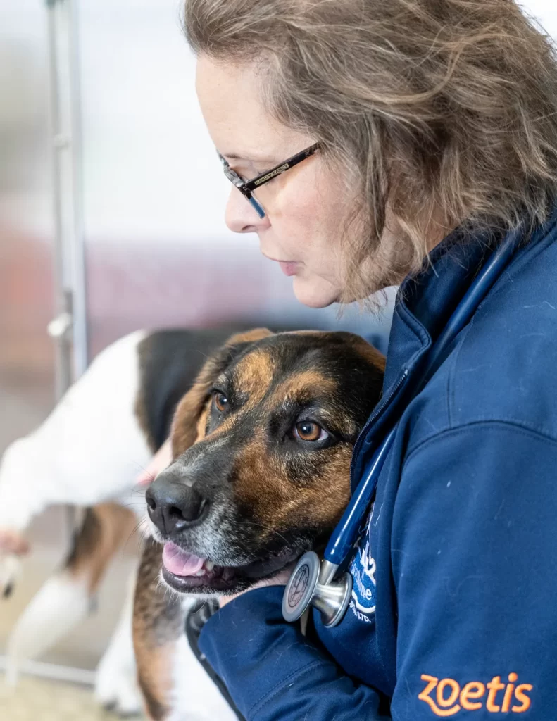 woman giving a hug to a dog